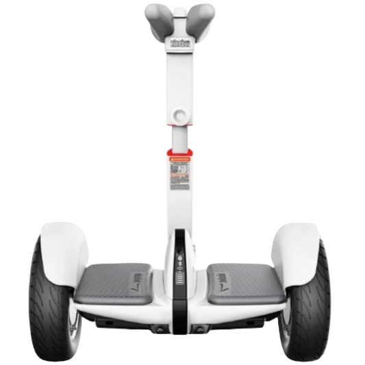 Scooter Patineta S.B. Ruedas Reforzadas