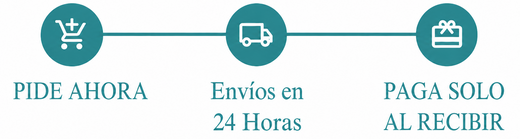 Proceso de pago